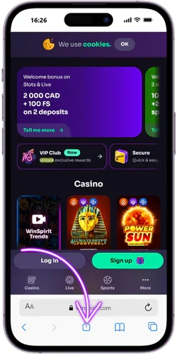 Share menu on WinSpirit website on IOS